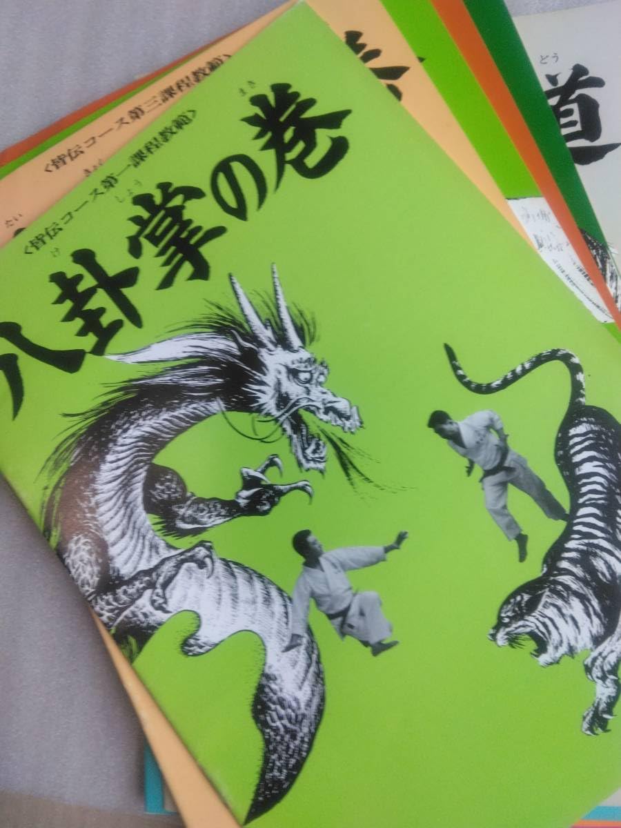 Amazon.co.jp: 「中国拳法大講座」 : スポーツ＆アウトドア